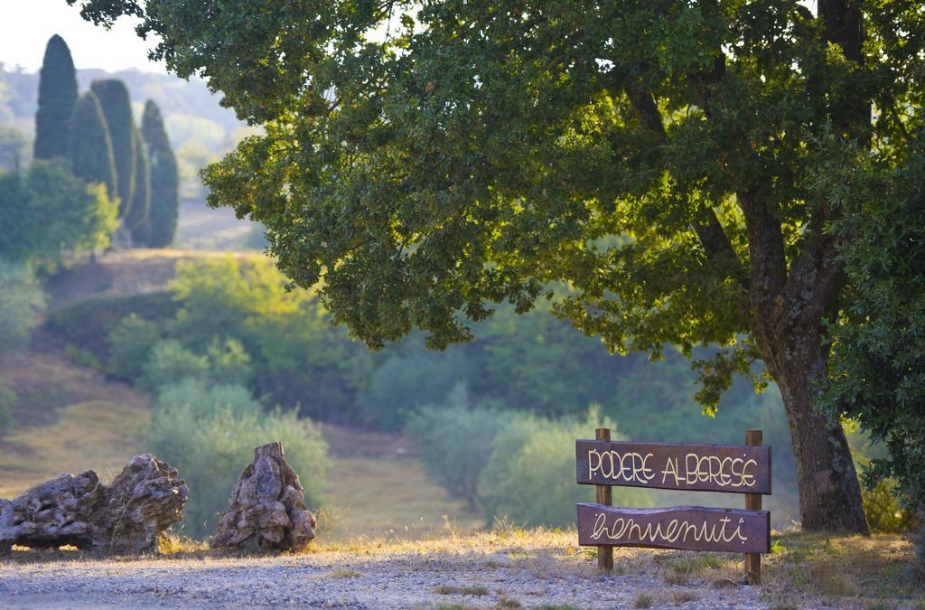 Agriturismo Podere Alberese Ашано Екстериор снимка